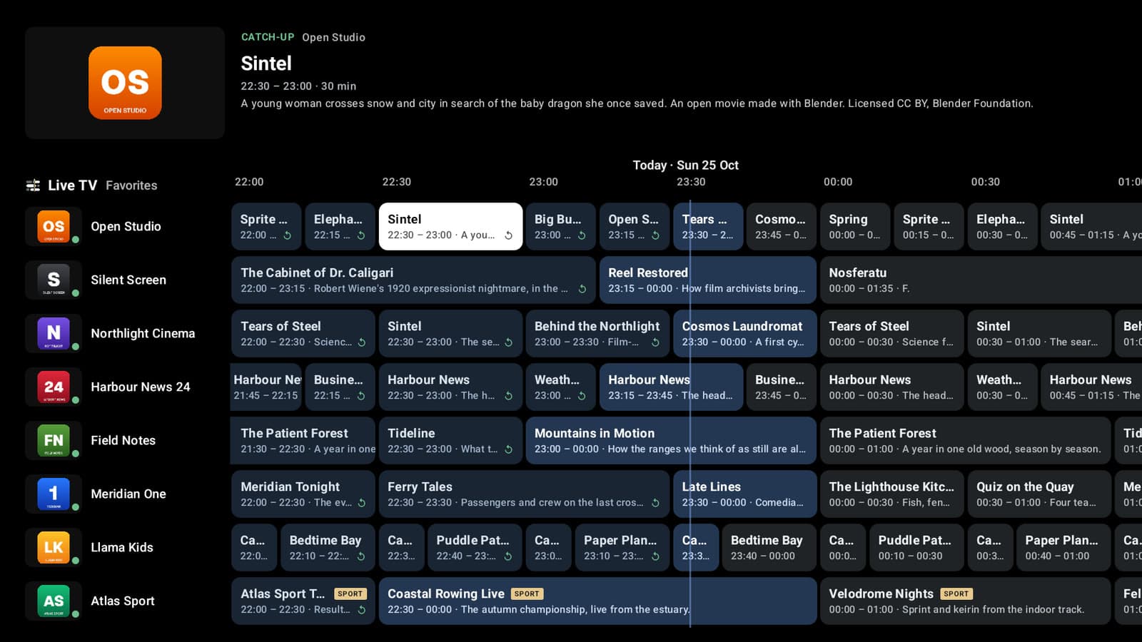 The guide — catch-up as far back as the provider allows (demo channels).
